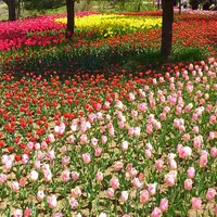 国営アルプスあづみの公園　堀金・穂高地区の写真・動画_image_9037