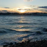 猿島の写真・動画_image_9071