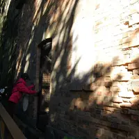 猿島の写真・動画_image_9072