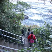 猿島の写真・動画_image_9081