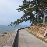 佐久島の写真・動画_image_9176