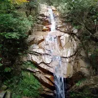 六甲山の写真・動画_image_921