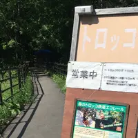 森のトロッコエコレールの写真・動画_image_92172