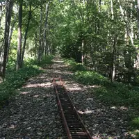森のトロッコエコレールの写真・動画_image_92173