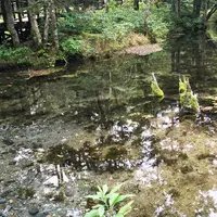 神の子池の写真・動画_image_92179