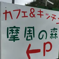 摩周の森の写真・動画_image_92182