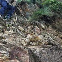 おたる水族館の写真・動画_image_92212