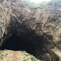 おたる水族館の写真・動画_image_92214