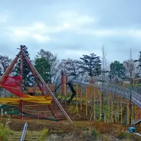 小田原こどもの森公園わんぱくらんどの写真・動画_image_936