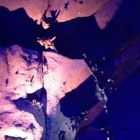 ガンダムフロント東京の写真・動画_image_939