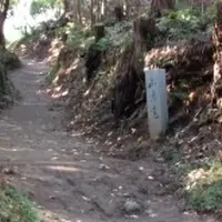 大神神社の写真・動画_image_9392