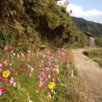 額田王の万葉歌碑の写真・動画_image_9394