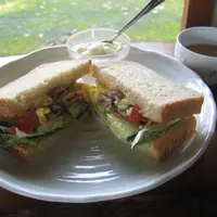 もく（朴）の写真・動画_image_9438