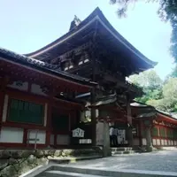 石上神宮の写真・動画_image_9459