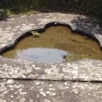 橘寺の写真・動画_image_9490