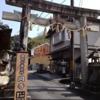 龍蓋寺（岡寺）の写真・動画_image_9492