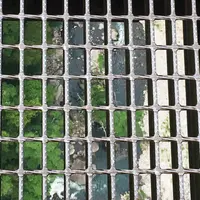 九重“夢”大吊橋の写真・動画_image_94956