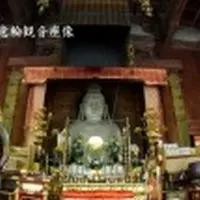 龍蓋寺（岡寺）の写真・動画_image_9513