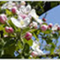 加藤農園の写真・動画_image_9528