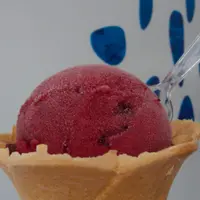 鶴岡市立加茂水族館（クラゲドリーム館）の写真・動画_image_9565