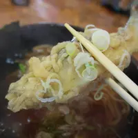 川の駅 ヤナ茶屋もがみの写真・動画_image_9577