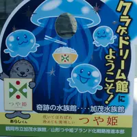 鶴岡市立加茂水族館（クラゲドリーム館）の写真・動画_image_9579