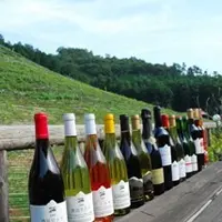 ココ・ファーム・ワイナリーの写真・動画_image_9646