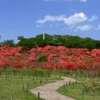 やいた花火大会の写真・動画_image_9691