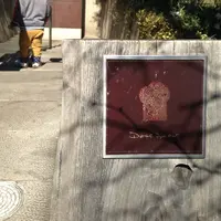 ダンディゾン（Dans Dix ans）の写真・動画_image_9965