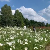国営備北丘陵公園の写真・動画_image_1000120