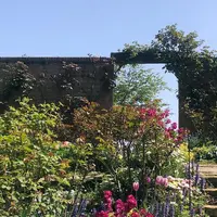 アカオハーブ＆ローズガーデンの写真・動画_image_1000946