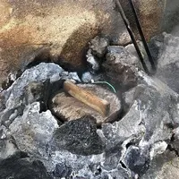 小沢の湯の写真・動画_image_1000954