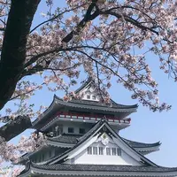 熱海城の写真・動画_image_1000963