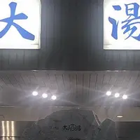 日航亭・大湯の写真・動画_image_1000979