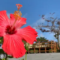 漢那ダムの写真・動画_image_1001957