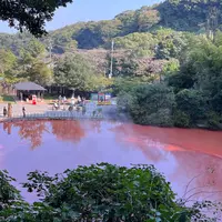 別府地獄めぐりの写真・動画_image_1003504