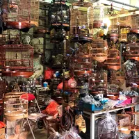 Yuen Po Street Bird Gardenの写真・動画_image_1003793