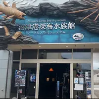 沼津港深海水族館の写真・動画_image_1010446