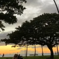 ワイキキ・シェルの写真・動画_image_1011157