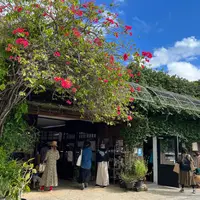 壺屋やちむん通りの写真・動画_image_1017071