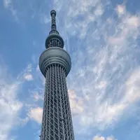 東京スカイツリーの写真・動画_image_1018427