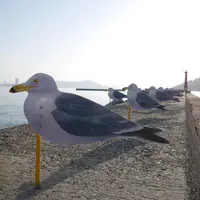カモメの駐車場の写真・動画_image_1020045
