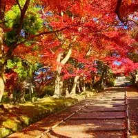 毘沙門堂の写真・動画_image_1020062