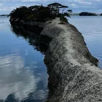松島 馬の背の写真・動画_image_1020696