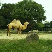 姫路セントラルパークの写真・動画_image_1021248