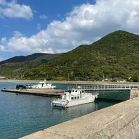 田ノ浦港の写真・動画_image_1021615