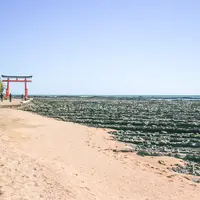 青島神社の写真・動画_image_1026828