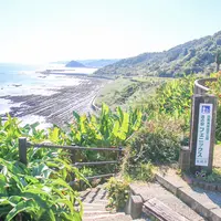 道の駅 フェニックスの写真・動画_image_1026835