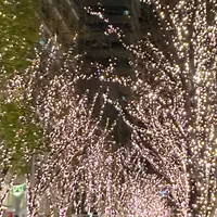 丸の内ストリートパークの写真・動画_image_1031690