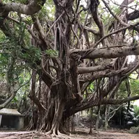 東の御嶽（シヌグ堂）の写真・動画_image_1032372